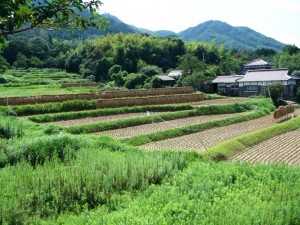 septembre 15 2005 089