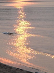 septembre 16 2005 111